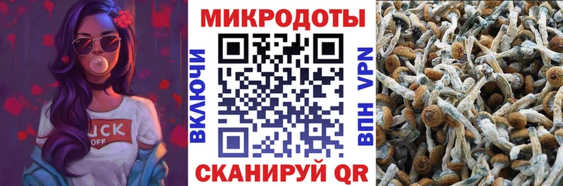 Псилоцибиновые грибы GOLDEN TEACHER Собинка